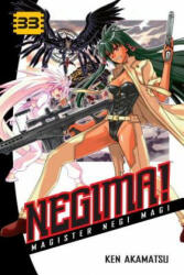 Negima! 33 - Ken Akamatsu (ISBN: 9781612621159)