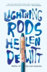 Lightning Rods (ISBN: 9781908276292)