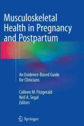 Musculoskeletal Health in Pregnancy and Postpartum - Colleen Fitzgerald, Neil Segal (ISBN: 9783319347394)