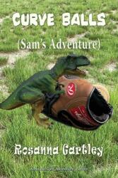 Curve Balls: Sam's Adventure (ISBN: 9781648831683)