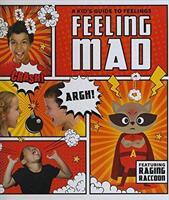 Feeling Mad (ISBN: 9781786372741)