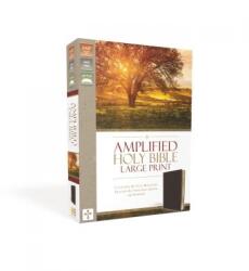 Amplified Bible-Am-Large Print: Captures the Full Meaning Behind the Original Greek and Hebrew (ISBN: 9780310444053)