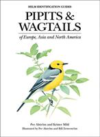 Pipits and Wagtails of Europe Asia and North America (ISBN: 9780713658347)