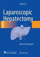 Laparoscopic Hepatectomy: Atlas and Techniques (ISBN: 9789402404081)