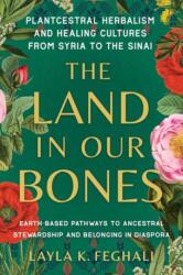 The Land in Our Bones (ISBN: 9781623179144)