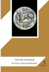 Tain Bó Cúailnge (ISBN: 9786155257759)