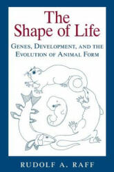 Shape of Life - Rudolf A. Raff (ISBN: 9780226702667)