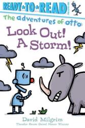 Look Out! a Storm! (ISBN: 9781534441972)