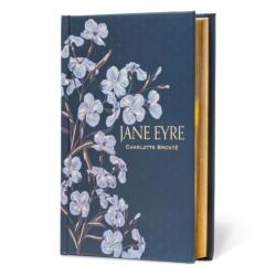 Jane Eyre (ISBN: 9781454952916)