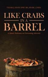 Like Crabs in a Barrel: A Nurse's Testimony on Overcoming Adversity (ISBN: 9781641919043)