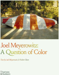 Joel Meyerowitz: A Question of Colour - Joel Meyerowitz (ISBN: 9780500297896)
