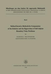 Refined Iterative Methods for Computation of the Solution and the Eigenvalues of Self-Adjoint Boundary Value Problems - NGELI, INSBURG, TIEFEL, UTISHAUSER (2012)