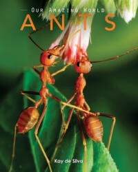 Ants: Amazing Pictures & Fun Facts on Animals in Nature - Kay De Silva (ISBN: 9781523417841)
