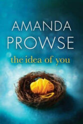 Idea of You - Amanda Prowse (ISBN: 9781503942332)