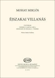 Mohay Miklós Dr. : Éjszakai villanás (ISBN: 9790080131718)