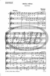 Palestrina, Giovanni Pierluigi da: Drága fény ! (ISBN: 9790080033975)