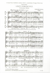 Kodály Zoltán: Liszt Ferenchez (ISBN: 9790080124680)