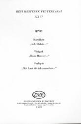 Régi mesterek vegyeskarai 26 (ISBN: 9790080080788)
