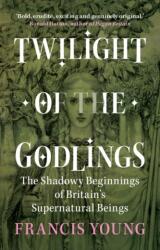 Twilight of the Godlings - Francis Young (ISBN: 9781009330367)