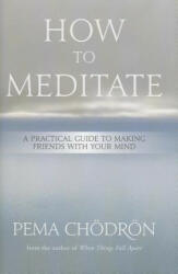 How to Meditate - Pema Chödrön (2013)
