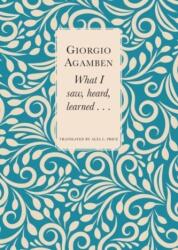 What I Saw, Heard, Learned (ISBN: 9781803092980)