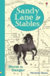 Sandy Lane Stables - Michelle Bates (ISBN: 9781474917254)