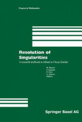 Resolution of Singularities - Herwig Hauser, Joseph Lipman, Frans Oort, Adolfo Quiros (2012)