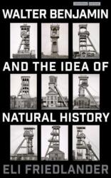 Walter Benjamin and the Idea of Natural History (ISBN: 9781503637702)
