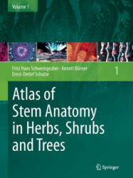 Atlas of Stem Anatomy in Herbs, Shrubs and Trees - Annett Börner, Ernst-Detlef Schulze, Fritz Hans Schweingruber (ISBN: 9783662519547)