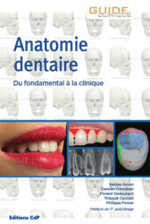 Anatomie dentaire - Pomar, Canceill, Destruhaut, Ostrowski, Joniot (ISBN: 9782843614200)