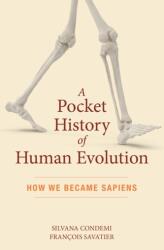 O scurtă istorie a evoluției umane (ISBN: 9781615196043)