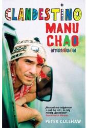 Clandestino Manu Chao nyomában (2013)