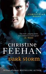 Dark Storm (2013)