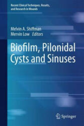 Biofilm, Pilonidal Cysts and Sinuses - Melvin A. Shiffman, Mervin Low (ISBN: 9783030030766)