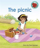 The picnic (ISBN: 9781398217041)