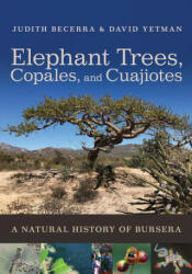 Elephant Trees, Copales, and Cuajiotes: A Natural History of Bursera - David Yetman, Exequiel Ezcurra (ISBN: 9780816551941)