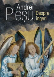 Despre ingeri - Andrei Plesu (ISBN: 9789735082154)