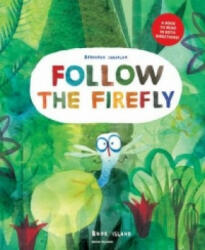 Follow the Firefly / Run, Rabbit, Run! - Bernardo Carvalho (ISBN: 9780994109828)