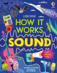 How It Works: Sound - Paulina Morgan (ISBN: 9781805079002)