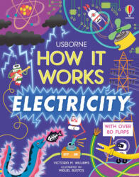 How It Works: Electricity - Miguel Bustos (ISBN: 9781805074748)