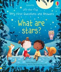 Very First Questions and Answers What Are Stars? - Marta Alvarez Miguens (ISBN: 9781805071754)