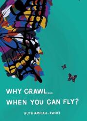 Why Crawl. . . When You Can Fly? (ISBN: 9781803815510)