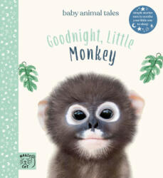 Goodnight, Little Monkey - Amanda Wood (ISBN: 9781913520120)