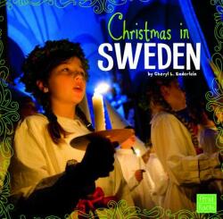 Christmas in Sweden (ISBN: 9781620651407)
