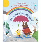 De unde vine ploaia? (Usborne) - Usborne Books (ISBN: 9786060963318)