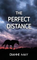 The Perfect Distance (ISBN: 9781509238903)