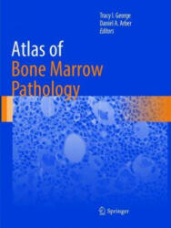 Atlas of Bone Marrow Pathology (ISBN: 9781493984954)
