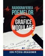 Radiografierea poemelor prin grafice modulare - Ion Pitoiu-Dragomir (ISBN: 9786063119521)
