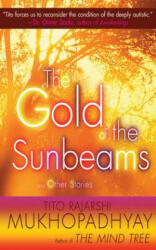 Gold of the Sunbeams - Tito Rajarshi Mukhopadhyay (2011)