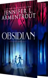 Obsidian (ISBN: 9781649376114)